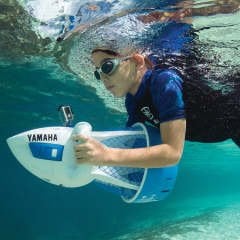 Yamaha Explorer Sea Scoter